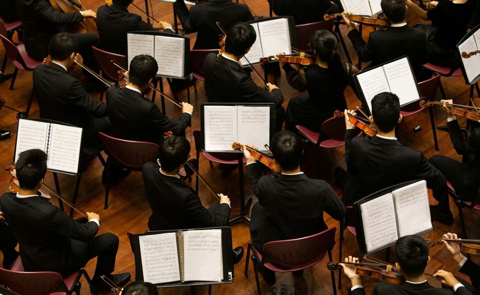 Sinfoniaorkesterin muusikoita soittamassa jousi-instrumentteja